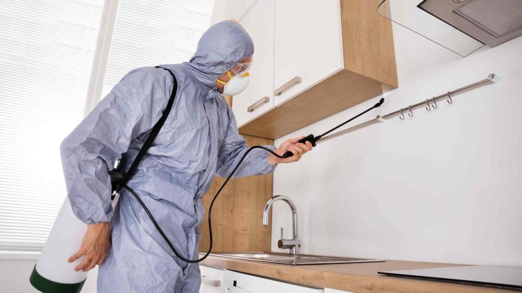 Termite Control Alabama