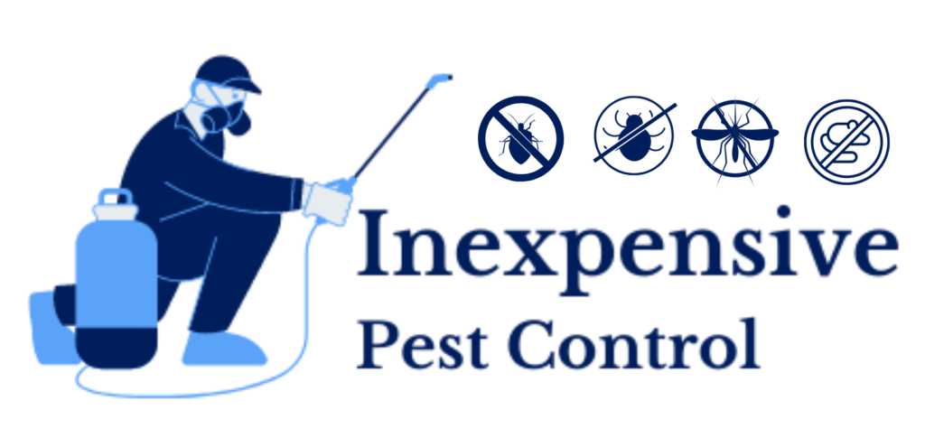 Termite Control Alabama
