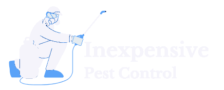 Termite Control Alabama